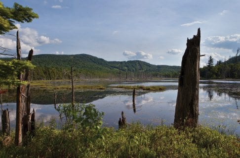 The Adirondack Club and Resort wants to build “Great Camps” near Mount Morris in Tupper Lake.   PHOTO BY NANCIE BATTAGLIA