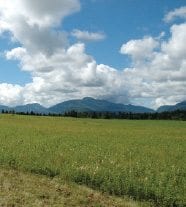 Because of the way the plan had been written, most of the new construction in the Park was not even subject to APA jurisdiction. PHOTO BY SUSAN BIBEAU
