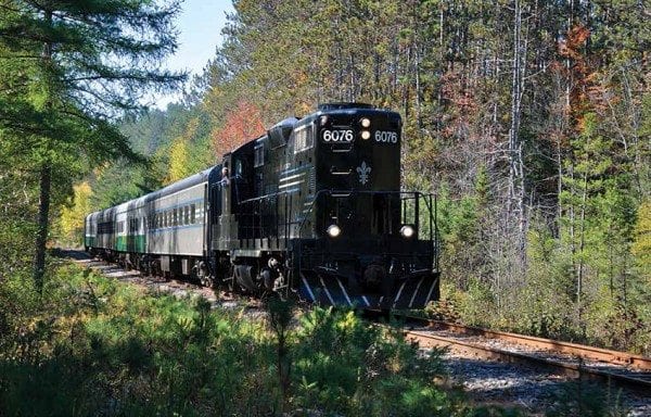 The tourist train passes through forest between Lake Placid and Saranac Lake. Photo by Susan Bibeau