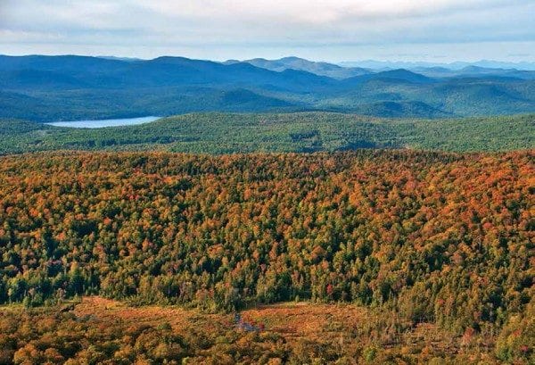 One of the properties includes the Thousand-Acre Swamp in the southeastern Adirondacks. Photo by Carl Heilman II