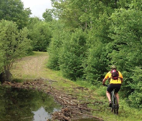 Advocates say mountain bikes are compatible with wilderness. Photo by Susan Bibeau