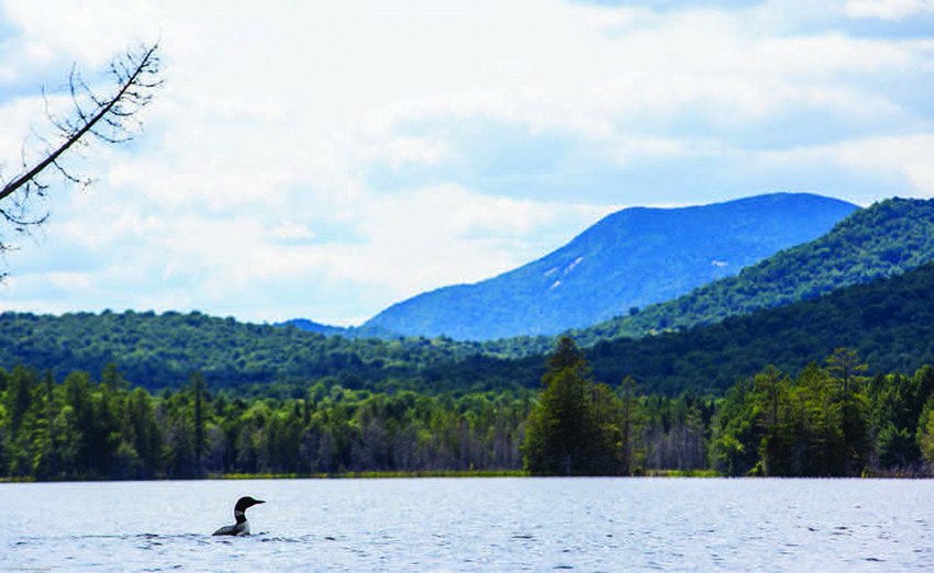 Loons are part of the scenery on Third Lake. Photo by Nancie Battaglia