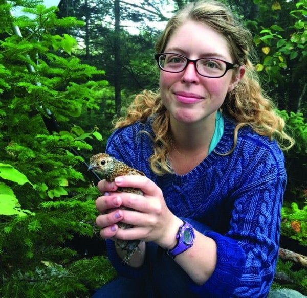 DEC wildlife technician Beckah Cruz holds a spruce grouse before releasing it. Photo by Angelena Ross