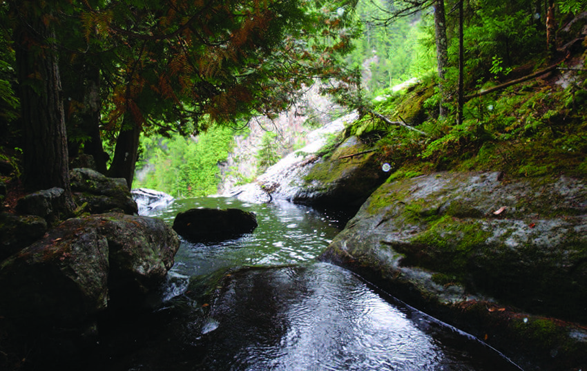 OK Slip Brook disappears over the ledge at the top of the falls. Photo by Phil Brown