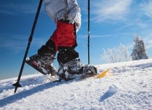 Snowshoers should stay clear of ski tracks.