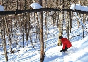 The Local Government Review Board supports proposals that would benefit backcountry skiers and snowmobilers. Photo by Susan Bibeau