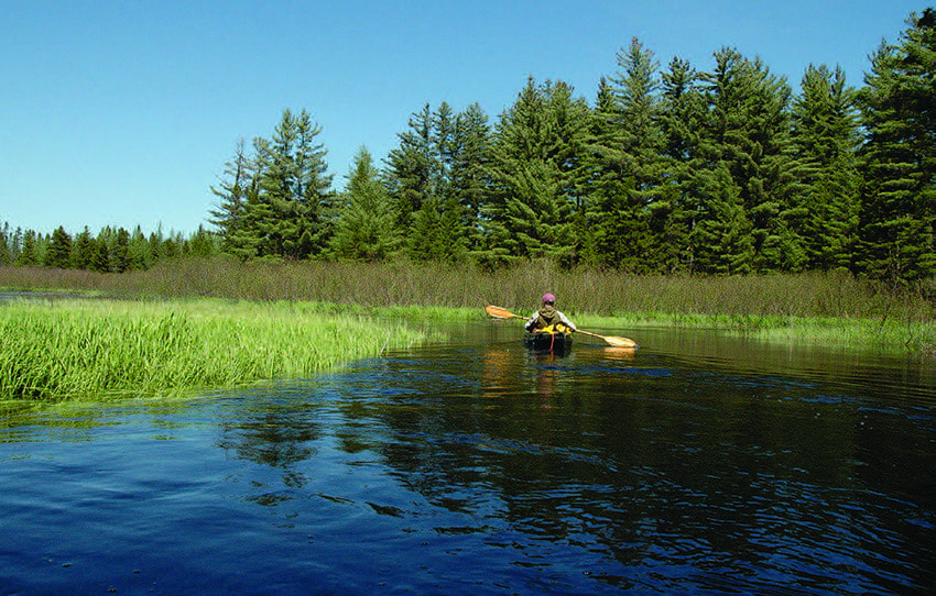 Phil Brown, editor of the Adirondack Explorer, canoes a disputed stretch of Shingle Shanty Brook in 2009. Photo by Susan Bibeau
