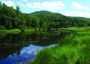 The Saranac River is not this pristine everywhere. Photo by Phil Brown