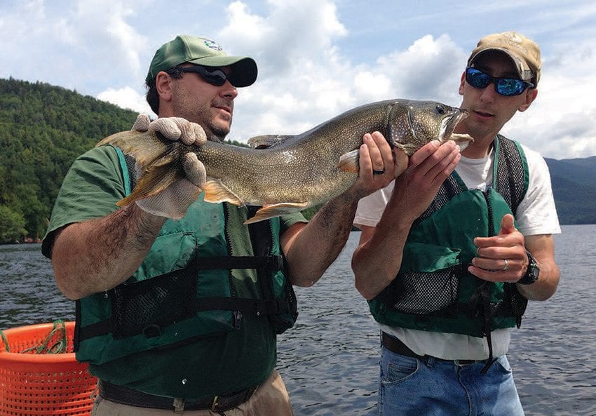 State biologists Rob Fiorentino, left, and Jim Pinheiro inspect a lake trout on Lake Placid for signs of age after weighing and measuring it during a 2013 survey. Photo by Mike Lynch