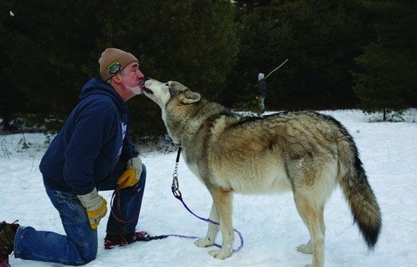 The wolf at our door