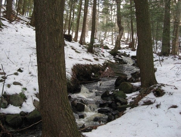 The Woodworth Lake Property includes streams, lakes, and former Boy Scout facilities. Photos courtesy of Dave Gibson, Adirondack Wild