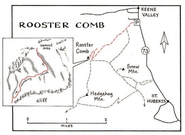 Rooster Comb Map by Nancy Bernstein
