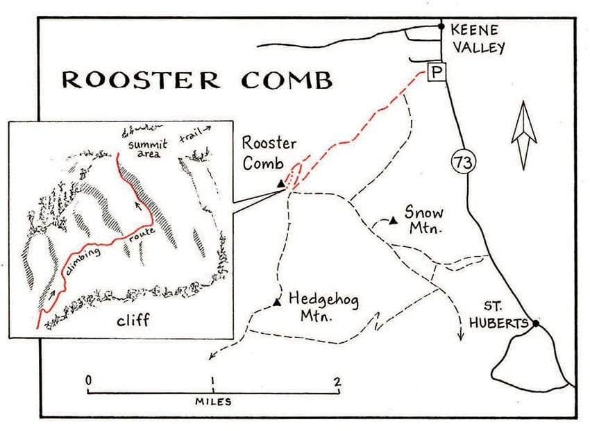 Rooster Comb Map by Nancy Bernstein