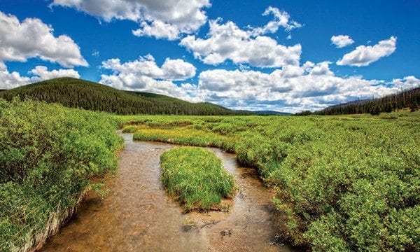 A stream from Cathedral Lakes flows through a lush meadow in Yosemite National Park in California.