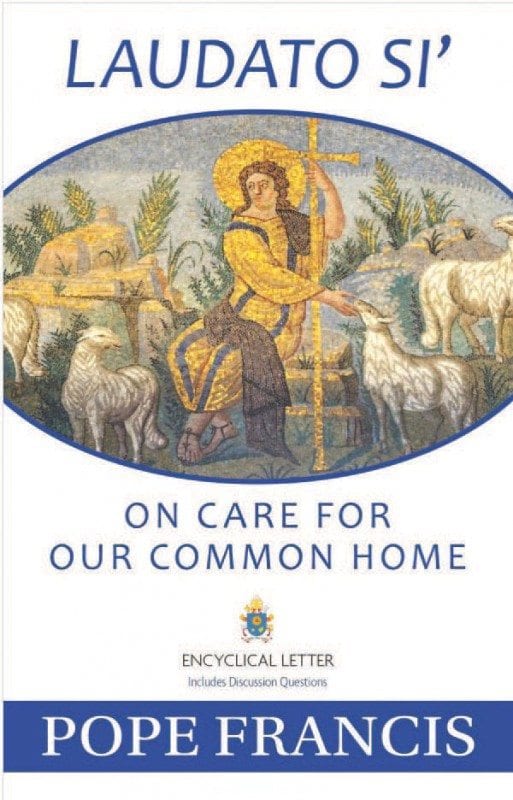 Laudato Si’: On Care for Our Common Home can be purchased in stores and online. Amazon is selling a paperback edition for $8.47. It also can be downloaded for free at laudatosi.com. The title comes from the Canticle of the Sun by Saint Francis of Assisi, in which the phrase Laudato si’, mi Signore appears several times. The English version of the pope’s encyclical letter translates the phrase as “Praise be to you, my Lord.”