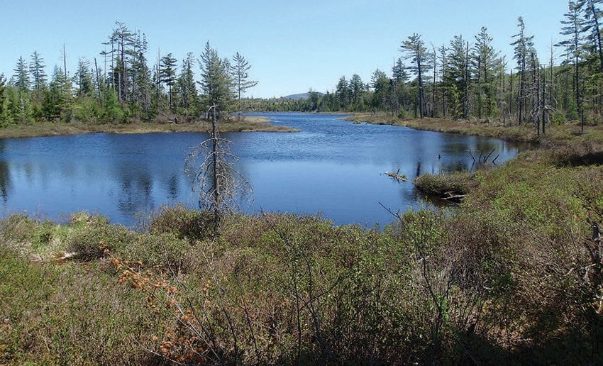 Mud Pond is part of the route paddled by the Explorer editor. Photo by Phil Brown