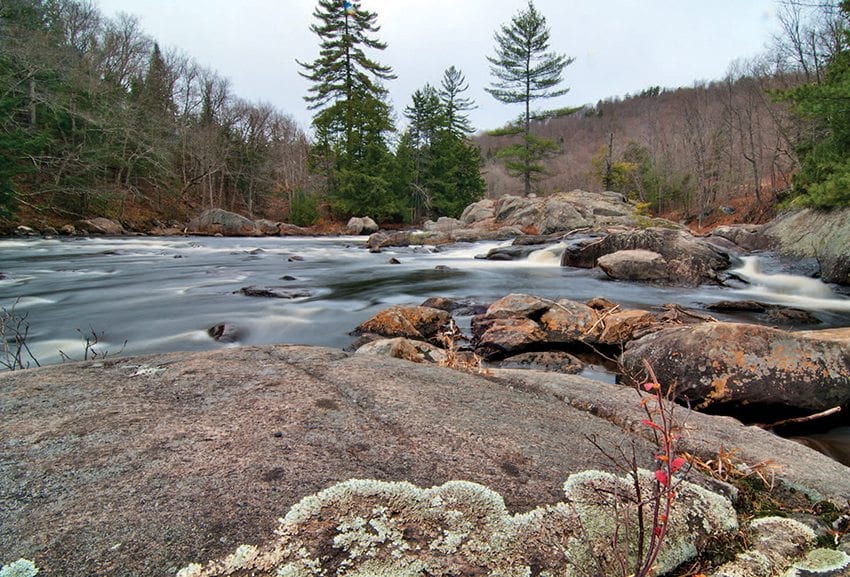 The Cedar River runs through the Essex Chain Lakes Complex. Photo by Carl Heilman II