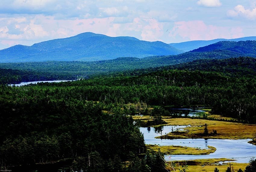 The serpentine Bog River as seen from Lows Ridge. Photo by Nancie Battaglia