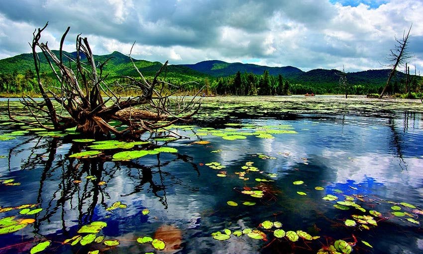 Recently acquired by the state, Boreas Ponds has sparked a classic Adirondack debate over how to balance public access and wilderness protection. PHOTO BY CARL HEILMAN II