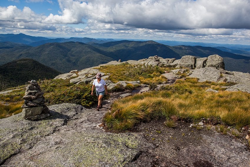 Fragile alpine flora is found on only sixteen Adirondack summits, including Wright Peak. PHOTO BY NANCIE BATTAGLIA