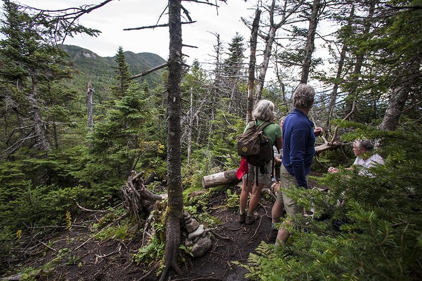 Some say herd paths like this one should be marked and maintained. PHOTO BY NANCIE BATTAGLIA