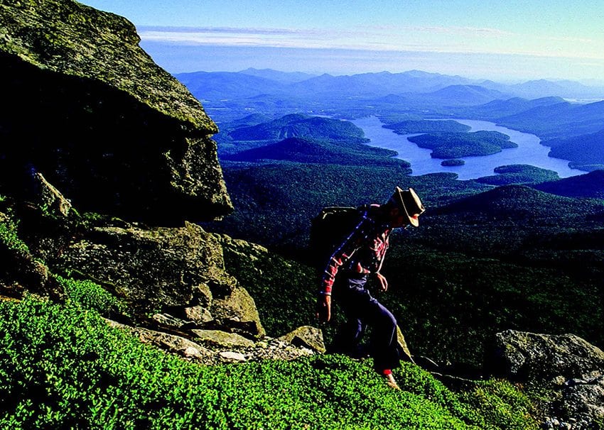 Ed Ketchledge studies the alpine vegetation on Whiteface Mountain. PHOTO BY NANCIE BATTAGLIA