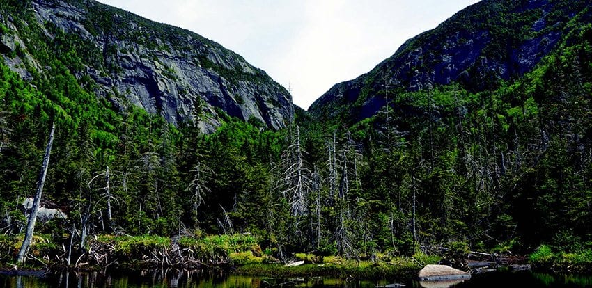 “Gloomier scowled the ravine, and narrower it grew.” —Alfred Billings Street PHOTO BY KEVIN MACKENZIE