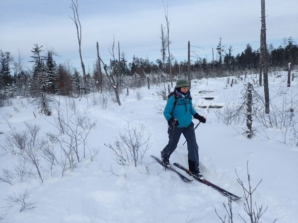 Powder Play In The Five Ponds Wilderness