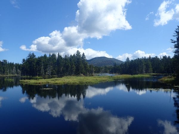 Adirondack Wilderness Advocates Issues Boreas Analysis