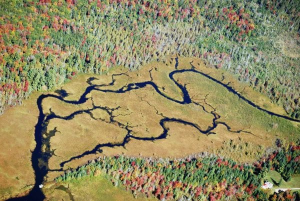 State Adds Marion River Carry To Adirondack Forest Preserve