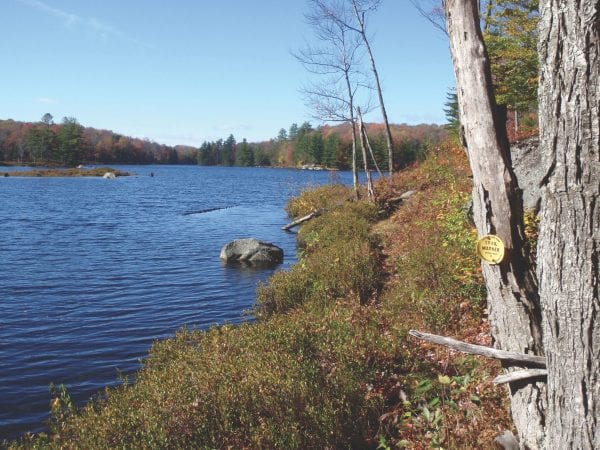 Middle Settlement Lake