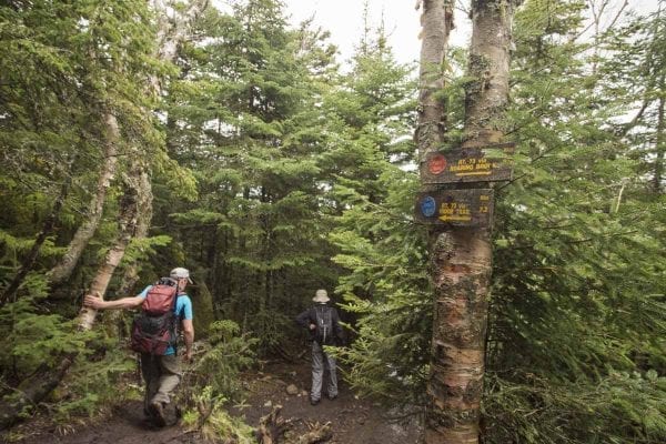 Giant Mountain hikers tromp through the mud. Photo by Mike Lynch