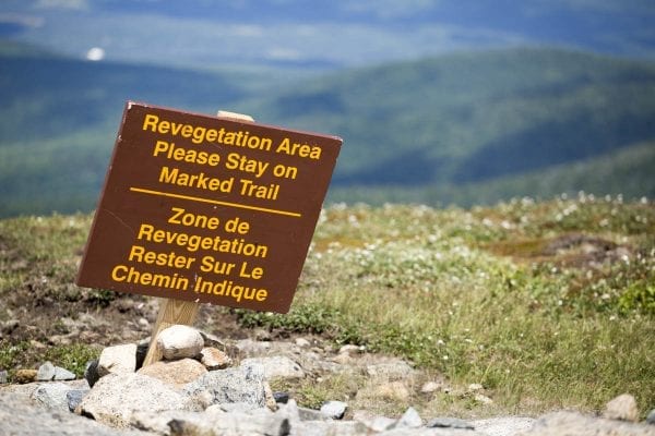 A sign placed by summit stewards on Cascade Mountain warns hikers to stay off the vegetation.