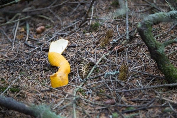 Orange peels and litter can often be found on trails after busy weekends in the High Peaks.