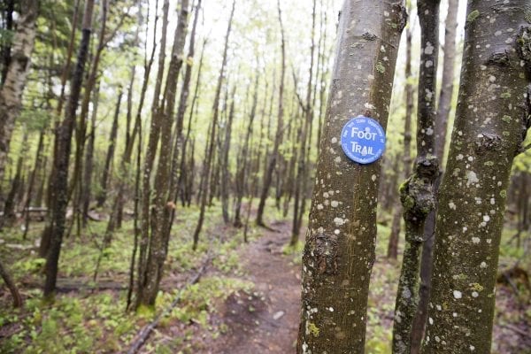 Scenes from a hike up the Cobble Lookout trail in Wilmington