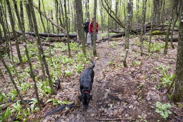 Scenes from a hike up the Cobble Lookout trail in Wilmington