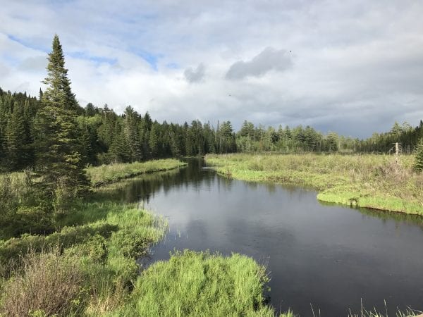 Don’t Be Fooled: Big Brook Is Not Flatwater