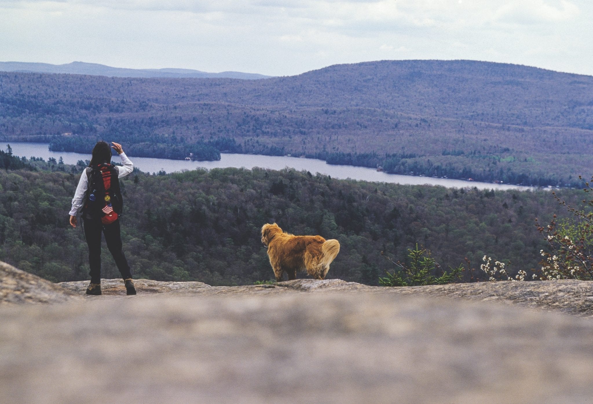 a woman and dog on black bear mountain