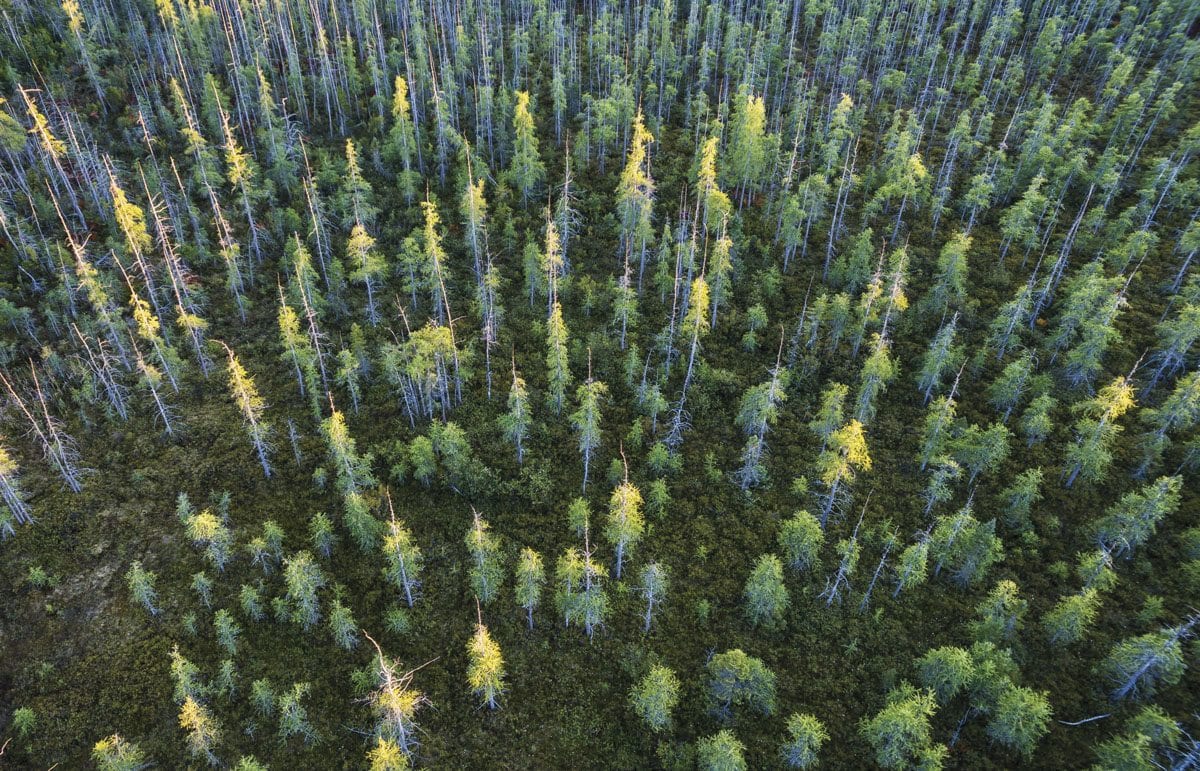 Silver Lake Bog boreal forest with last light, September 2016 drone aerial