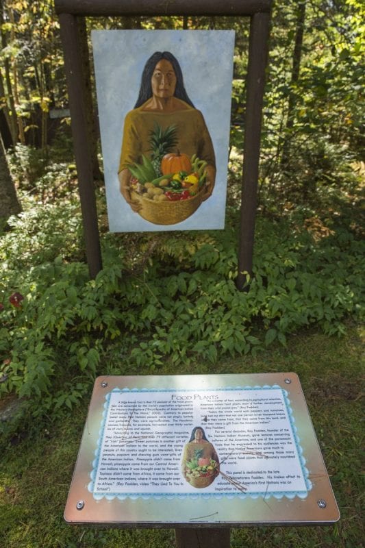 An exhibit at the Six Nations Museum in Onchiota in 2017. The museum is now known as the  Six Nations Iroquois Cultural Center. Photo by Mike Lynch