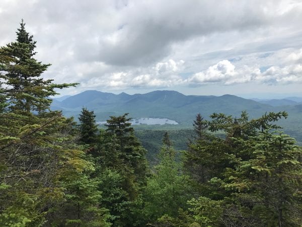 Saved by a spruce: Hiker survives fall off South Dix Mt.