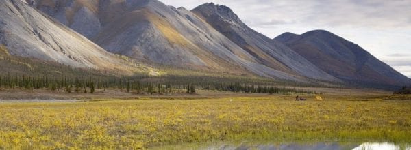 Arctic refuge