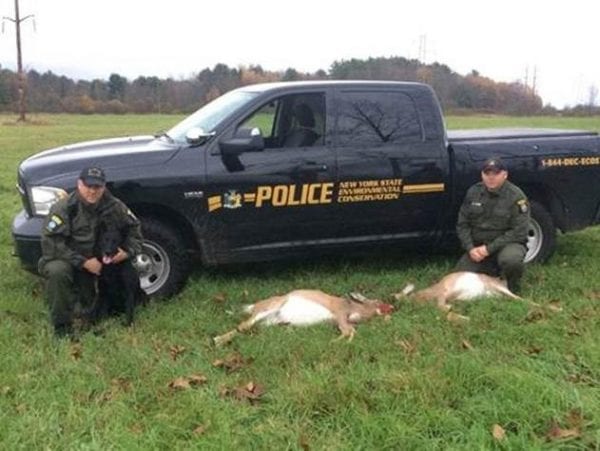 DEC charges hunters with deer-jacking