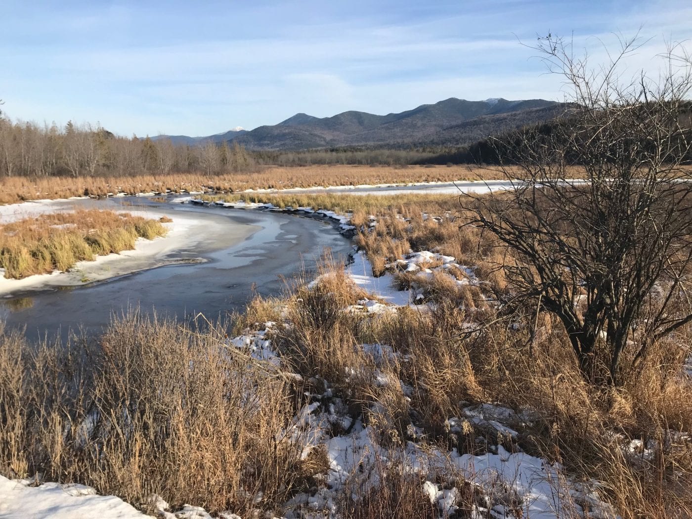 McKenzie Range