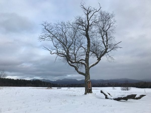 DEC: Be prepared for winter in the Adirondacks