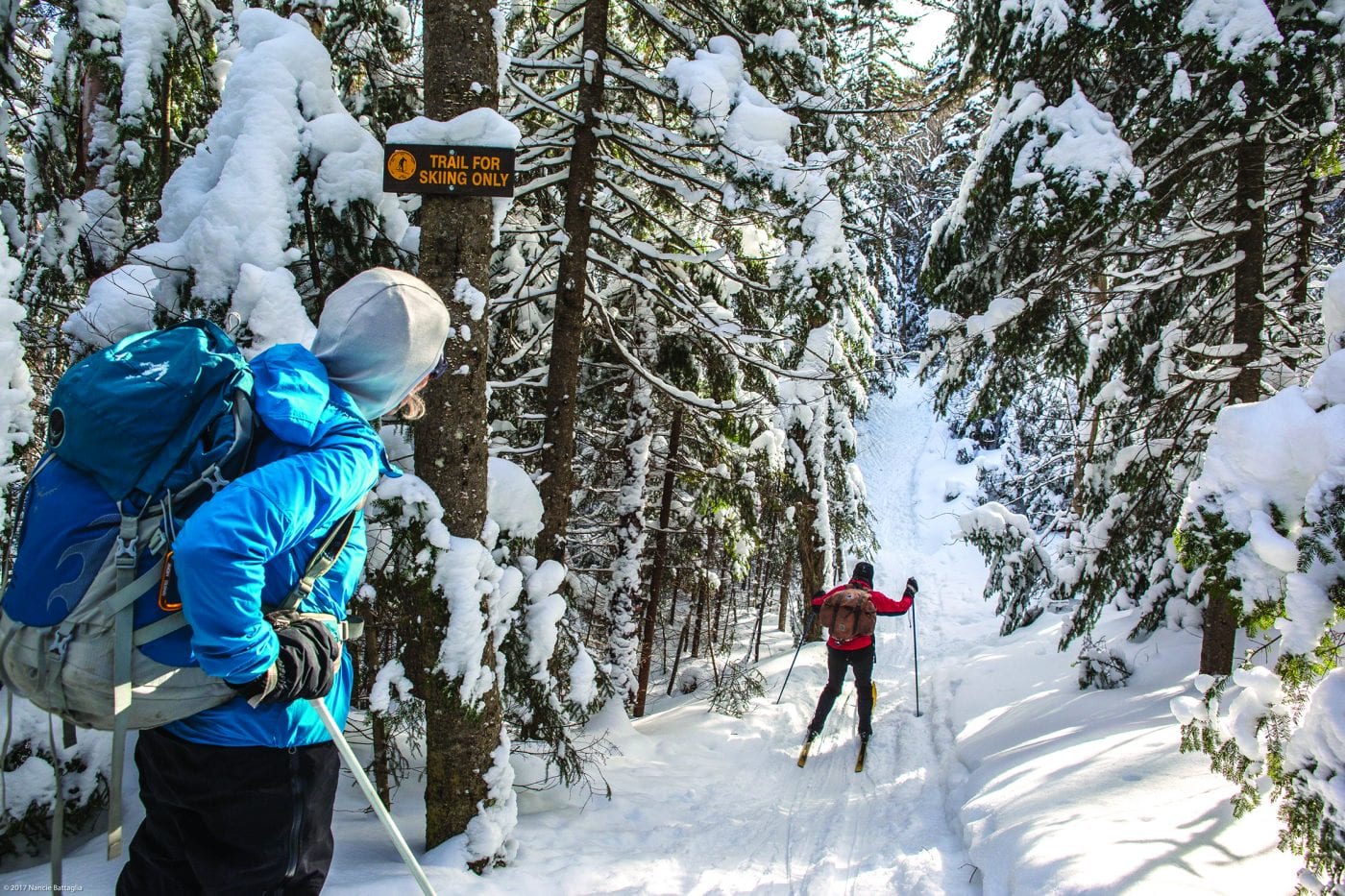 Skiing Avalanche Pass