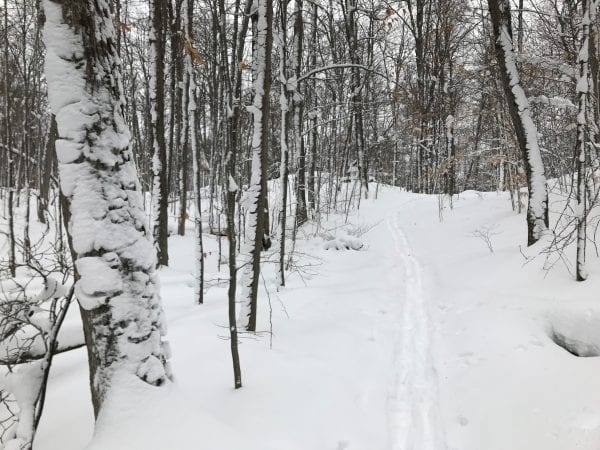 backcountry skiing