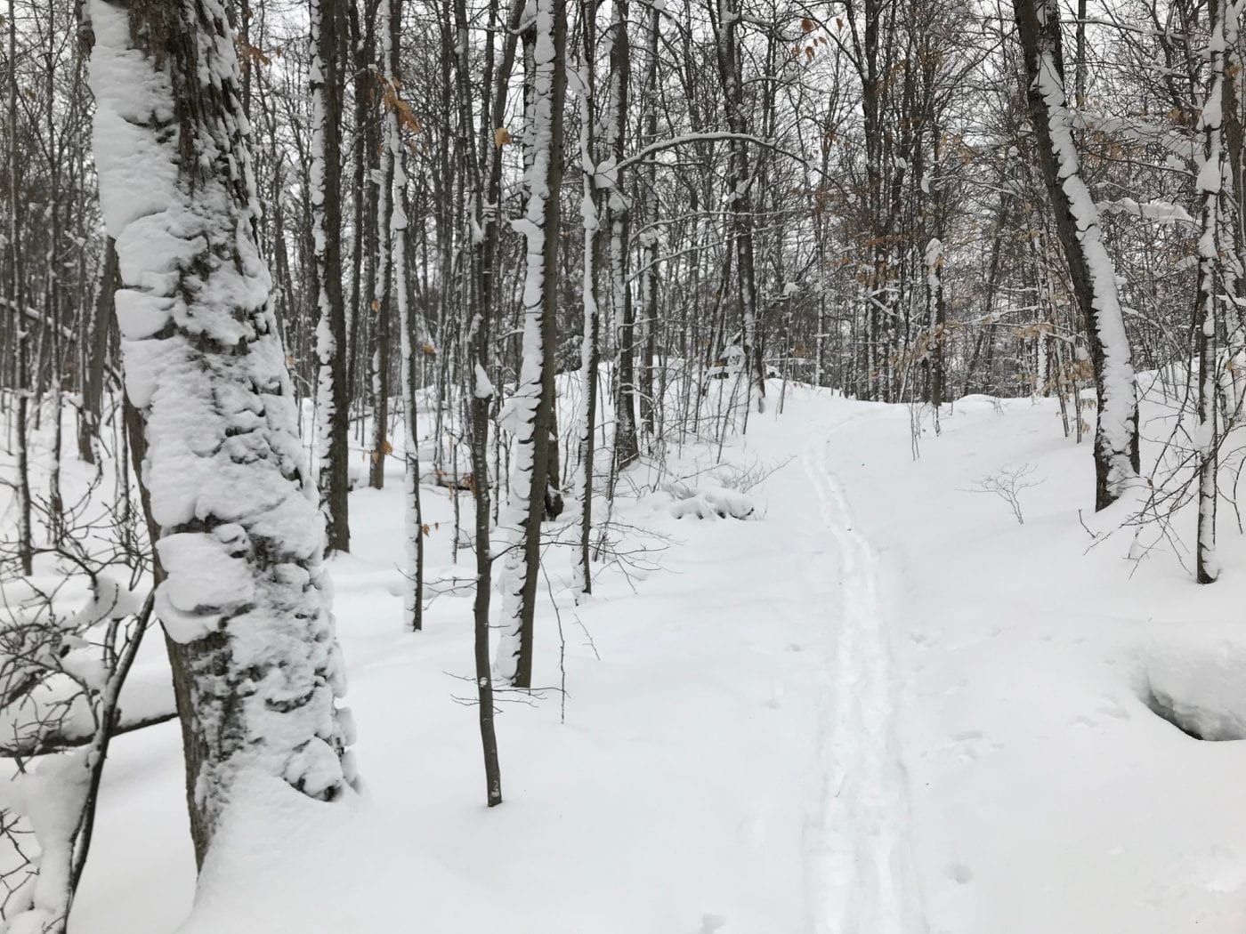 backcountry skiing