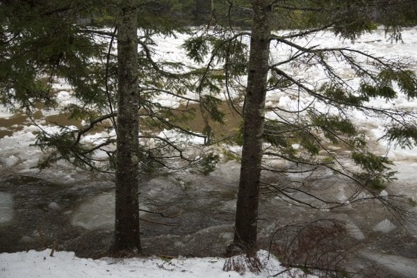 Ausable River Ice Jam