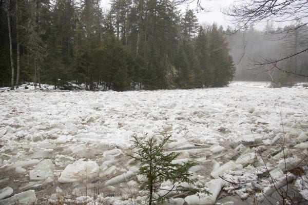Ausable River Ice Jam